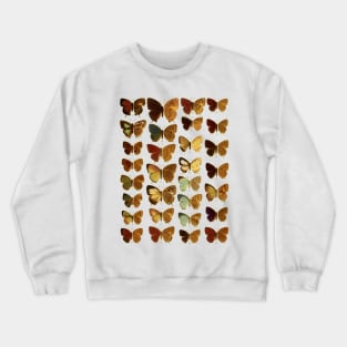 butterfly Crewneck Sweatshirt